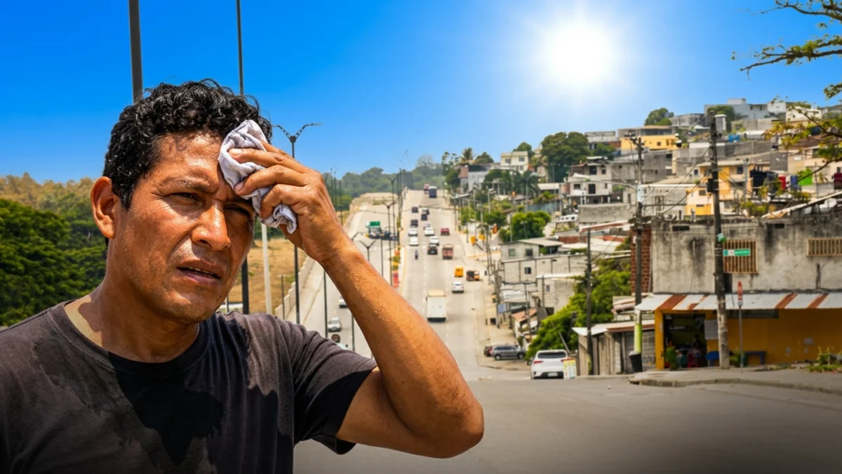 En Guayaquil, la escasez de árboles deja amplias zonas expuestas directamente al sol.