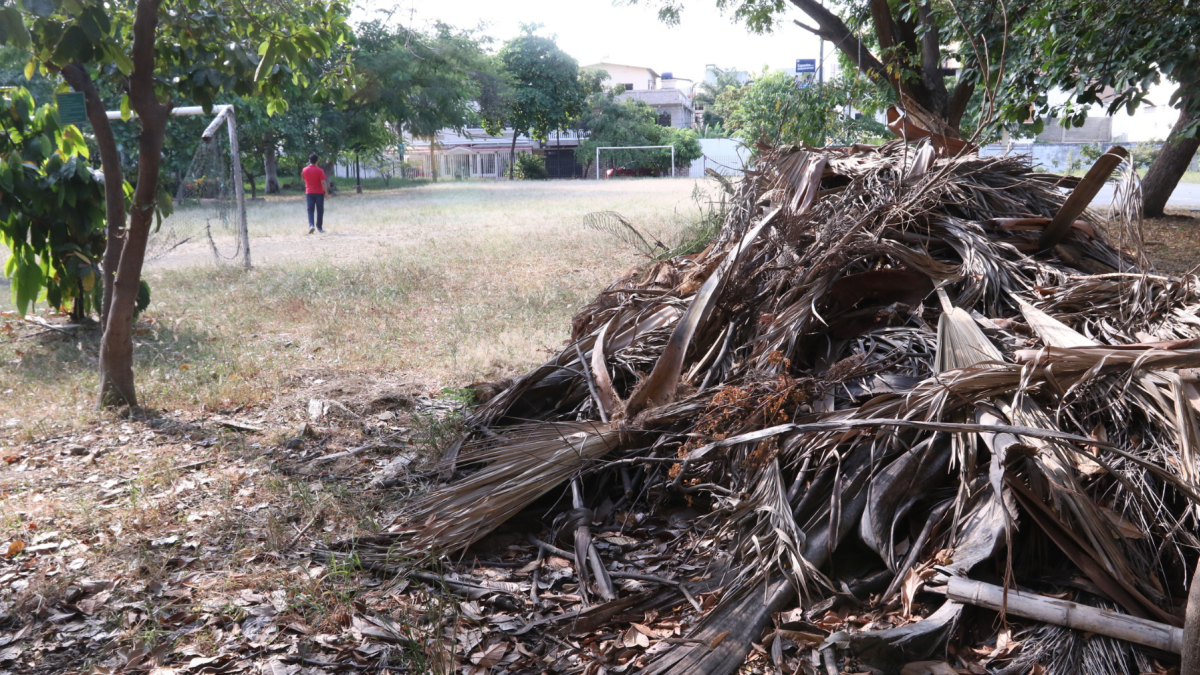 El parque Antonio Neumane tiene diversidad de flora y fauna, pero sus instalaciones necesitan mantenimiento y mejoras.