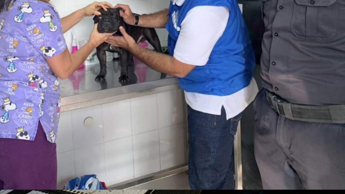 Lo que hoy es una iniciativa municipal en Quito debería convertirse en ley nacional: tarifarios regulados, trazabilidad de medicinas, auditoría de hospitalizaciones, control sobre quién ejerce y cómo.