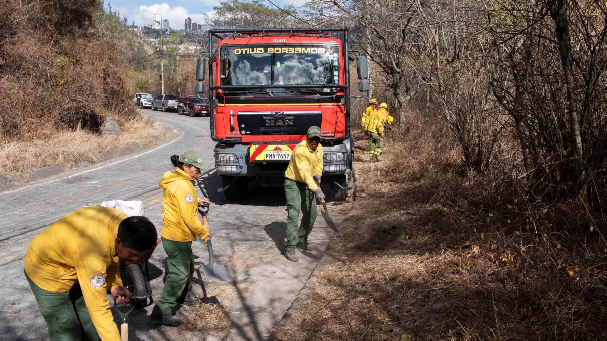 Prevención. Moradores de El Cebollar y Bomberos limpiaron la avenida Los Conquistadores para eliminar material combustible antes de la época seca.