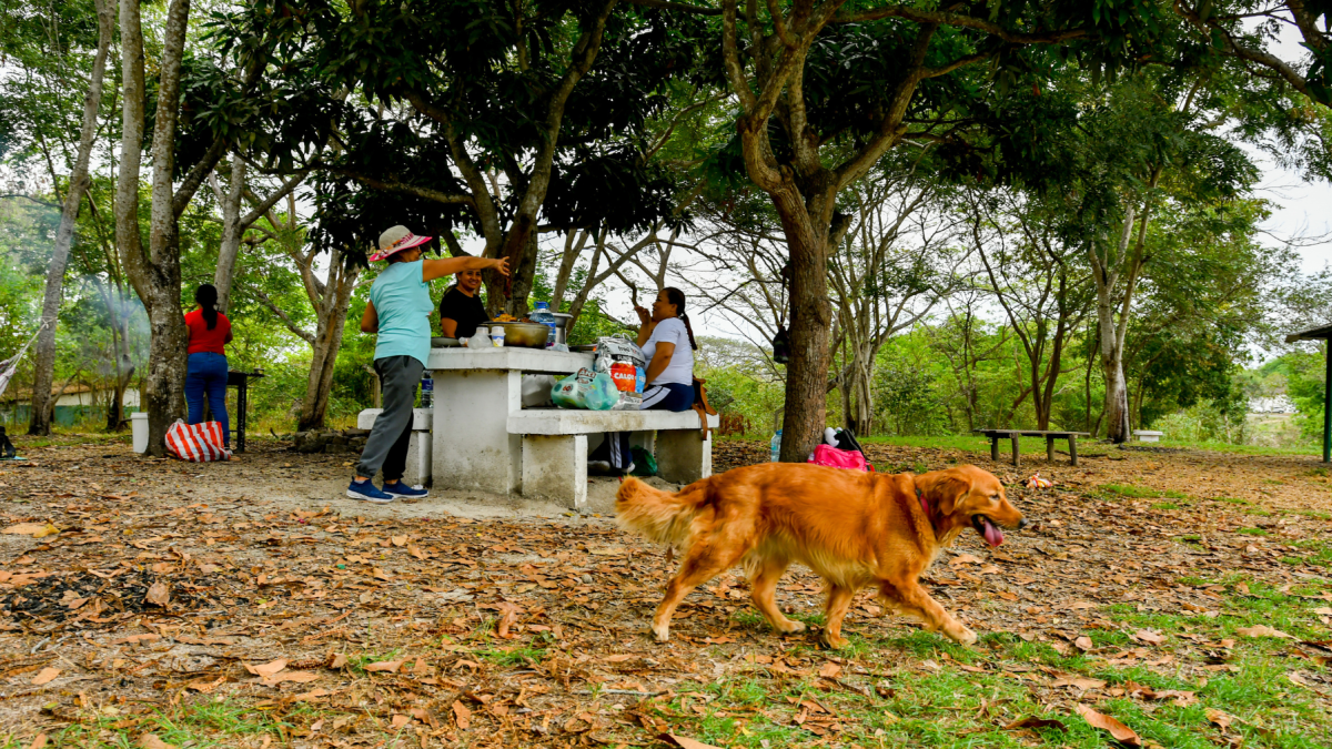 Las familias aún acuden al parque El Lago a realizar actividades al aire libre, como preparar alimentos y pedalear.