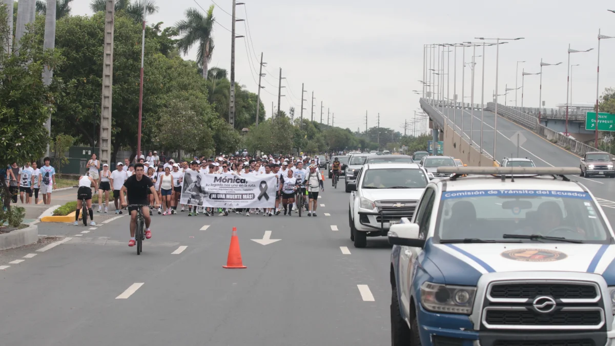 La Policía localizó en Colimes la camioneta involucrada en el atropellamiento que causó la muerte de Mónica Martinich.