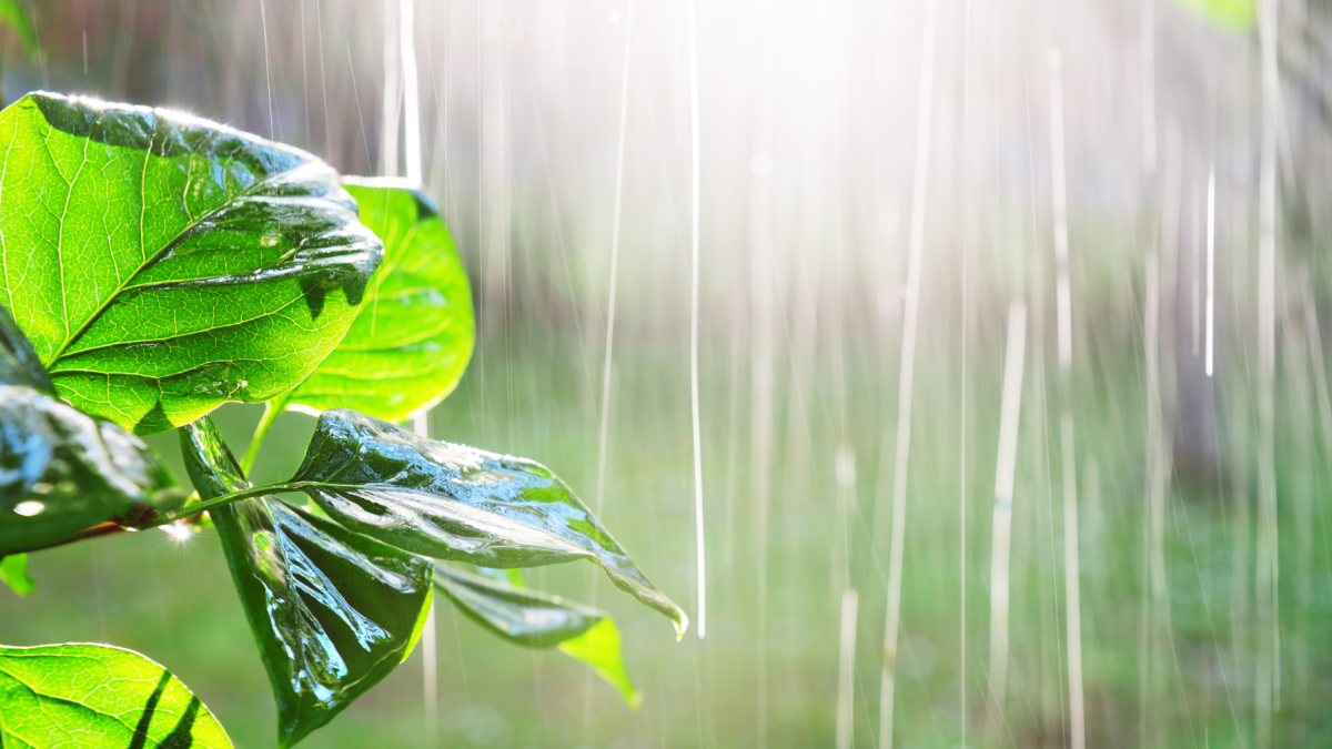 Referencial.Varias ciudades del país amanecen con lluvias este lunes, según el pronóstico del Inamhi.