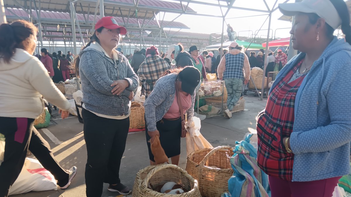 El mercado América en Tunguahua donde se venden una variedad de animales.