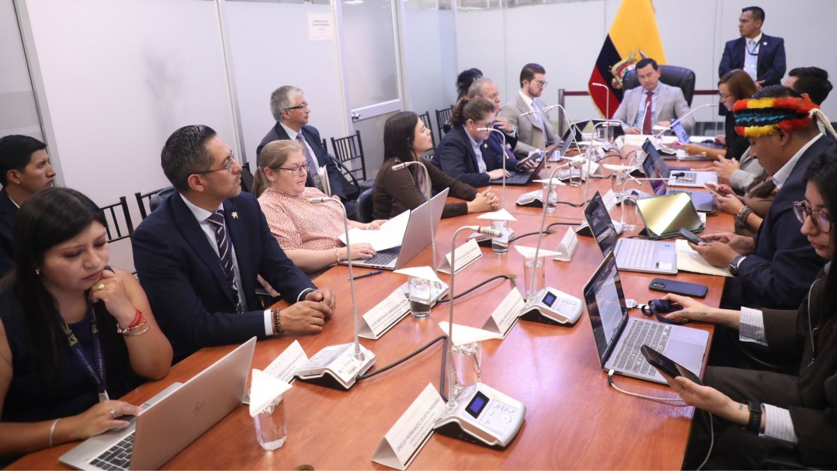 La Comisión de Fiscalización está integrada por diez asambleístas de distintas bancadas legislativas.
