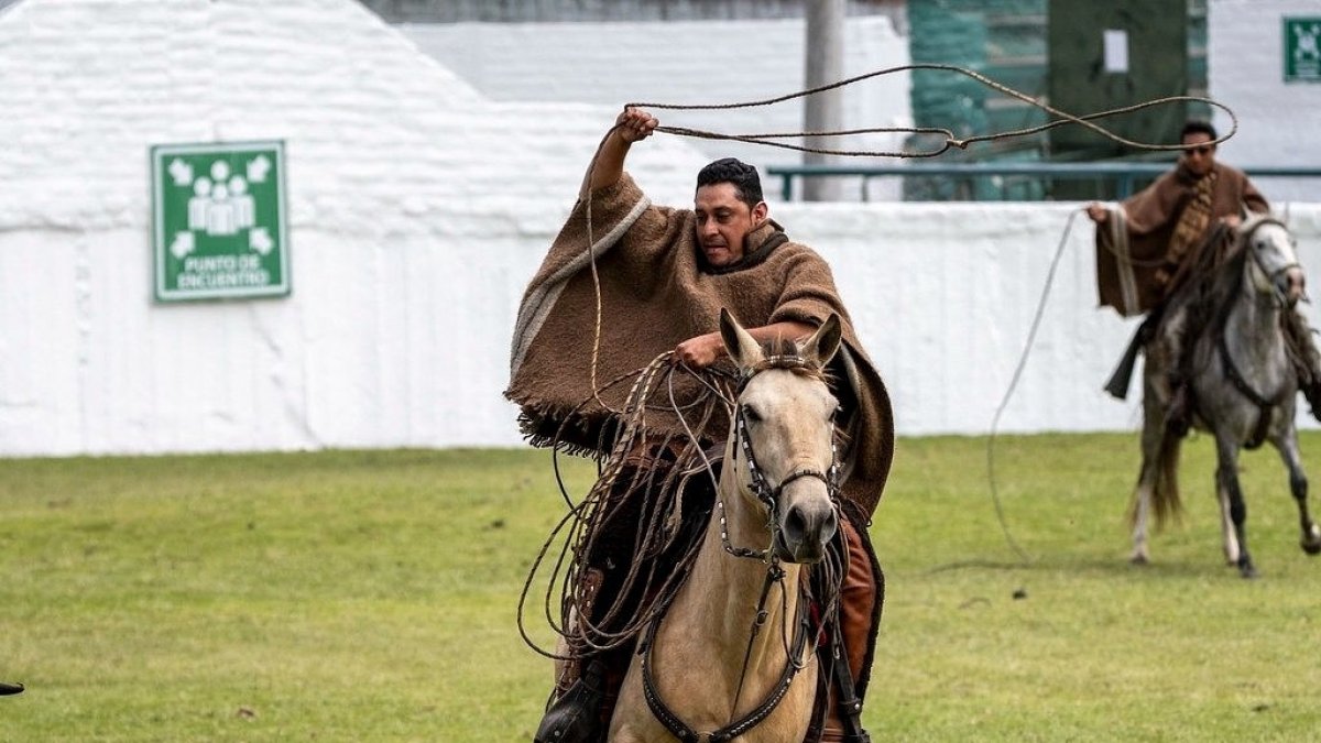 INTERCULTURAL EL CHAGRA ANDINO DEMUESTRA SU DESTREZAS EN EL RODEO, LAS COMPETENCIAS SE LAS REALIZAN EN MACAJE.