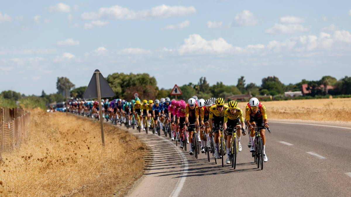 Ciclistas durante la decimoséptima etapa de La Vuelta a España, de 185 kilómetros de recorrido entre Dos Hermanas y Sevilla.
