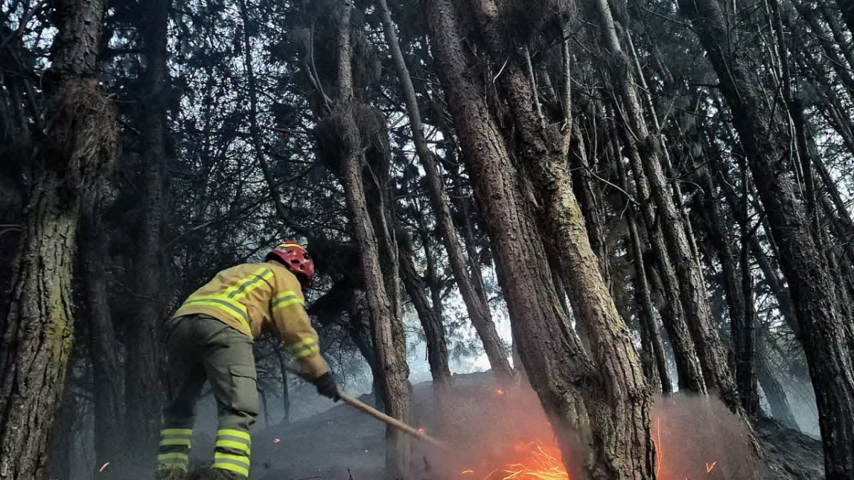 El incendio en el cerro Guagualzhumi afectó a cuatro hectáreas de vegetación.