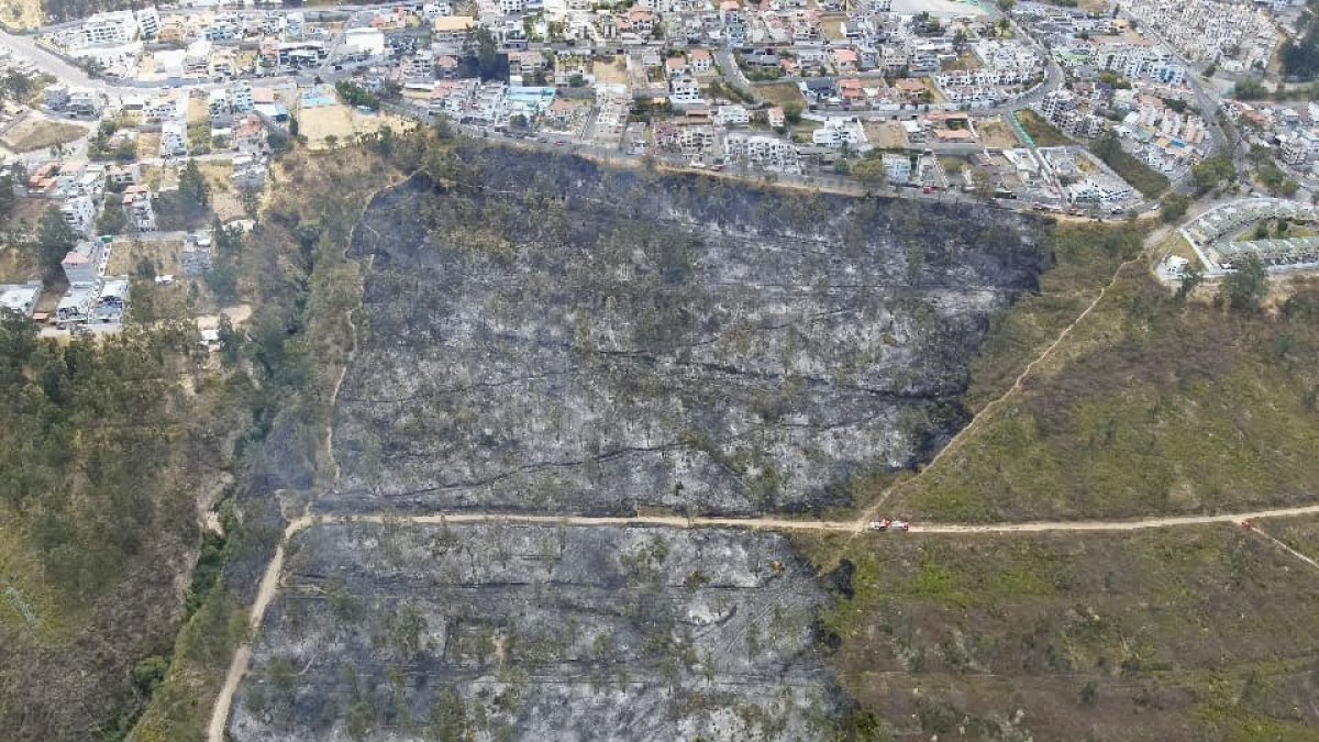 La sequía, los fuertes vientos y las quemas pueden favorecer la propagación de incendios forestales en Quito durante la temporada seca.