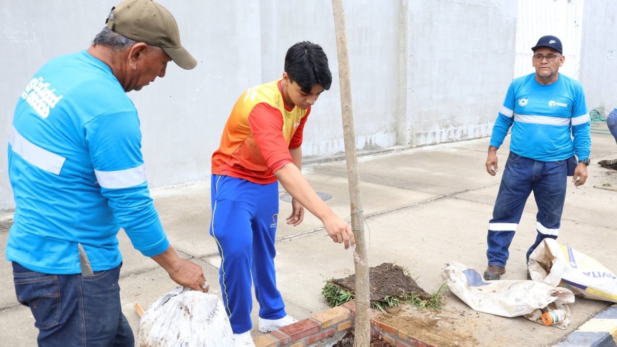 Técnicos de Parques EP, estudiantes, docentes y padres de familia participaron en la siembra de 44 árboles nativos en la avenida Ángel Calderón Muñoz, en Mucho Lote 2.