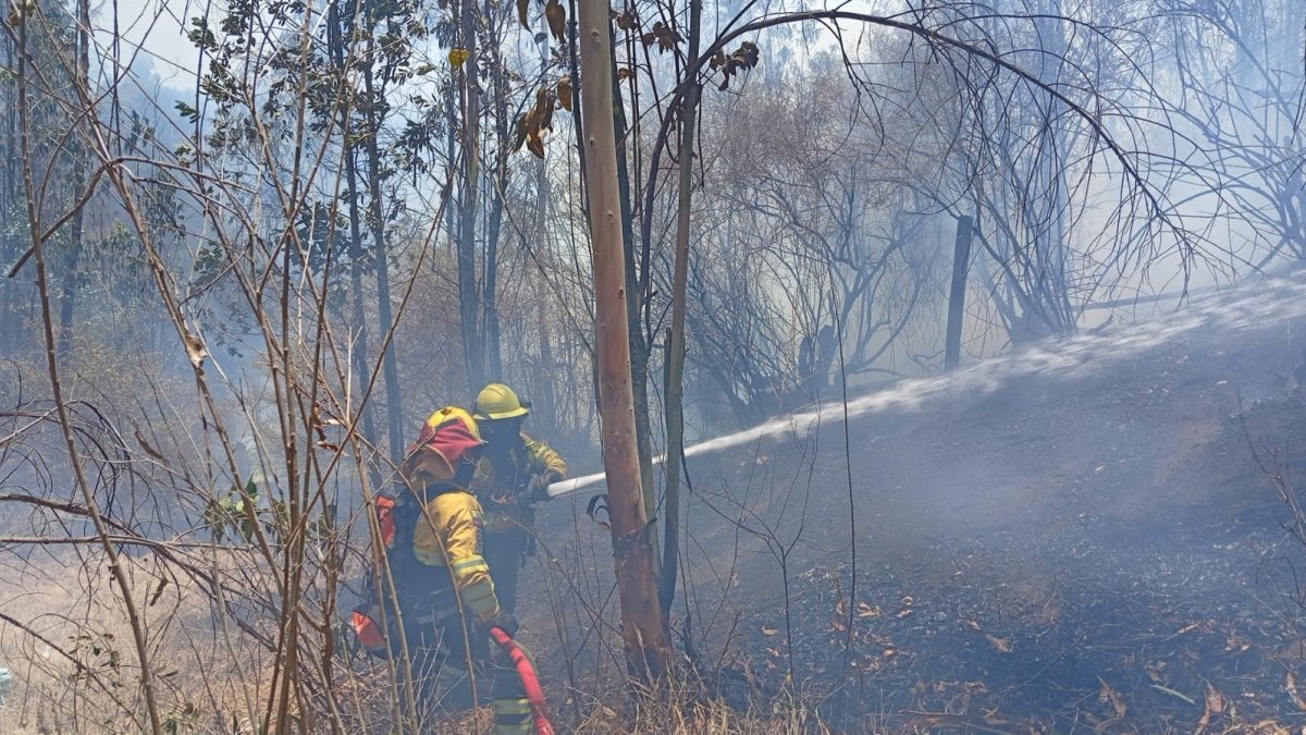 Bomberos Quito controlaron un incendio forestal registrado este sábado 12 de septiembre en el sector de El Quinche.