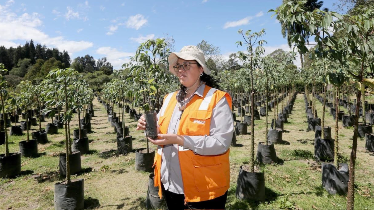 María Belén Calvache, directora de Áreas Naturales de la Empresa de Obras Públicas de Quito, en el vivero de Las Cuadras, sur de la urbe.