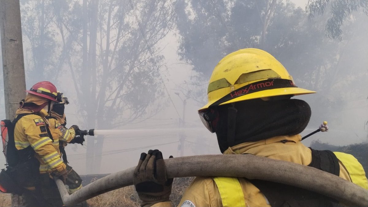 El incendio forestal registrado en La Vicentina generó una columna de humo visible y obligó a restringir parcialmente la circulación vehicular.