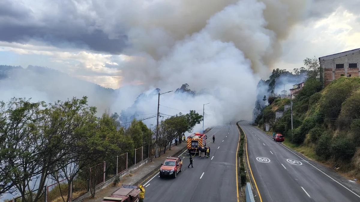 El incendio forestal en La Vicentina ocurrió pasado el mediodía del 13 de septiembre de 2026.