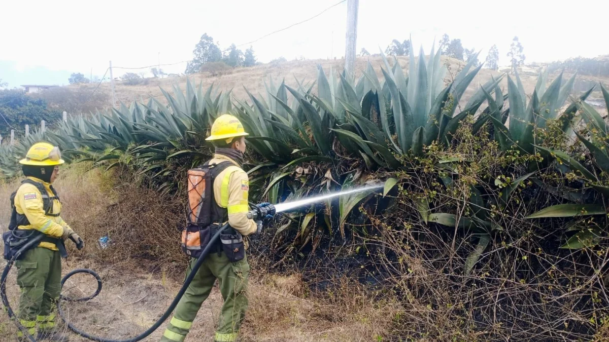 En San Juan de Chuspiyacu, en Tumbaco, se registró un incendio forestal, Días después ocurrió otra emergencia por una quema de follaje.