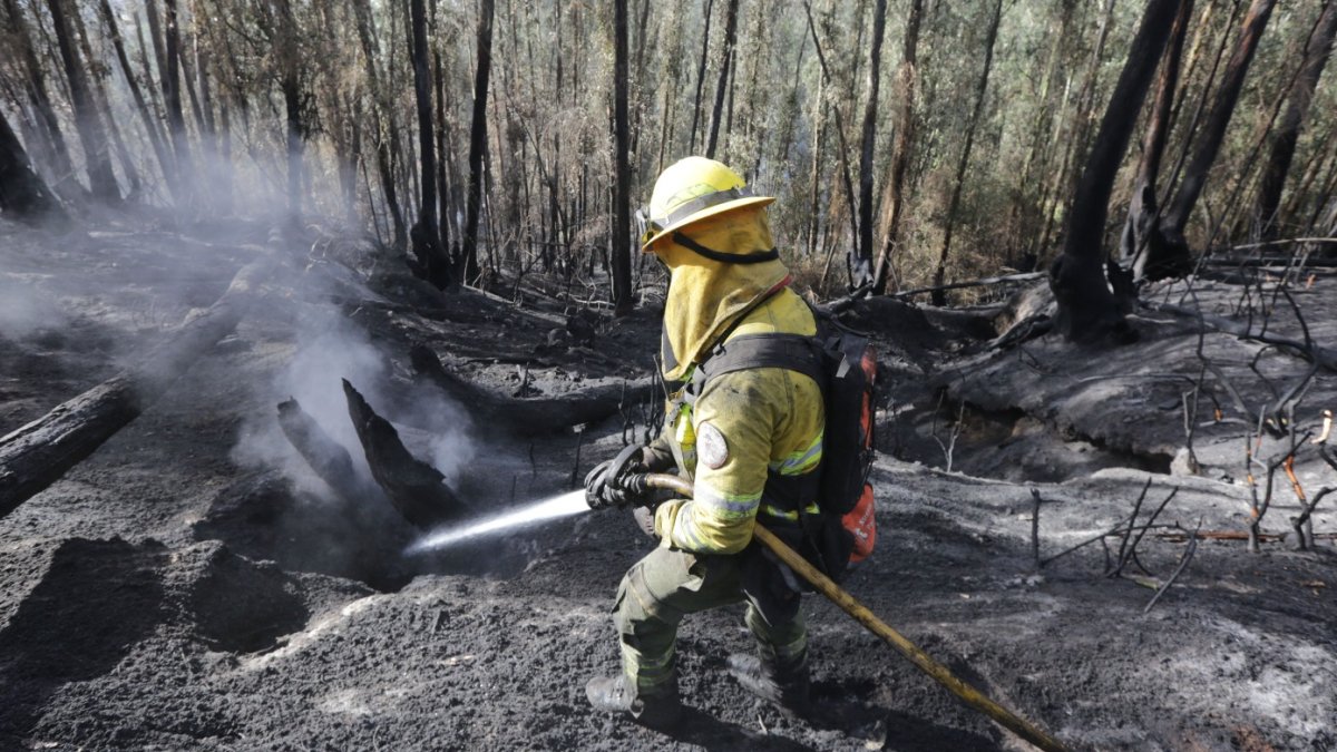 El incendio forestal consumió cinco hectáreas de vegetación en La Vicentina e Itchimbía, en el centro-norte de Quito.