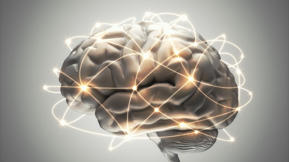 Cada vez que un estímulo activa un recuerdo, reactivamos una red de impulsos en el cerebro para crear un nuevo producto.