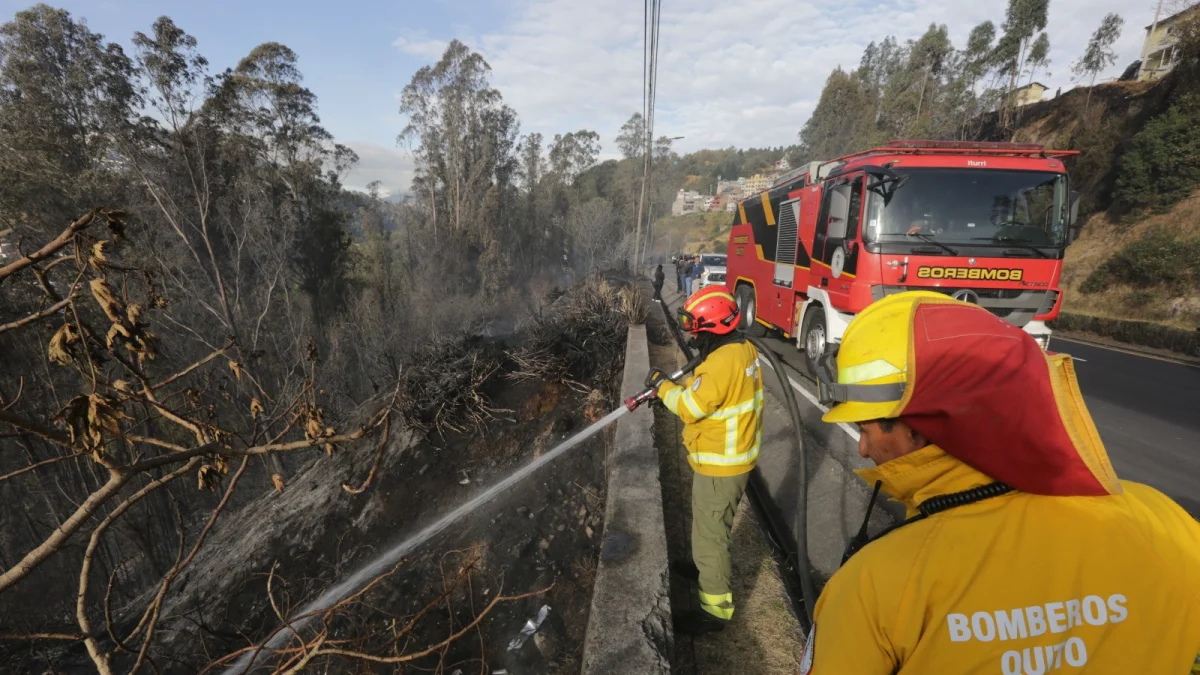 El incendio en La Vicentina afectó a cinco hectáreas de vegetación.
