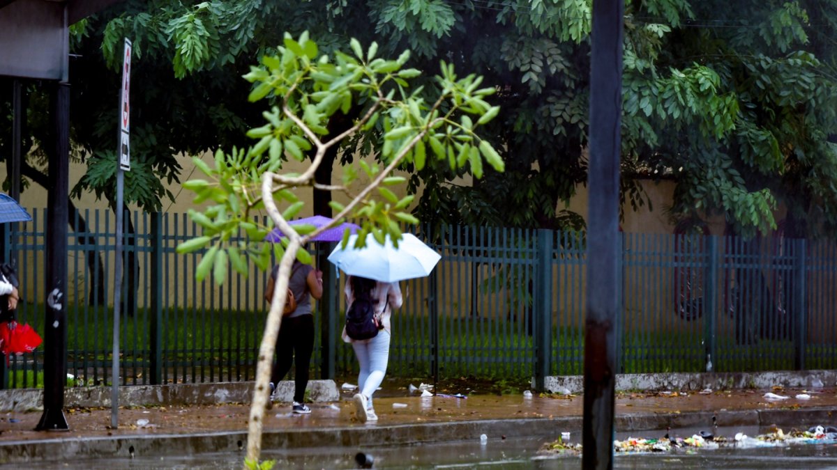 En las próximas semanas se prevé un incremento de lluvias en Guayaquil.