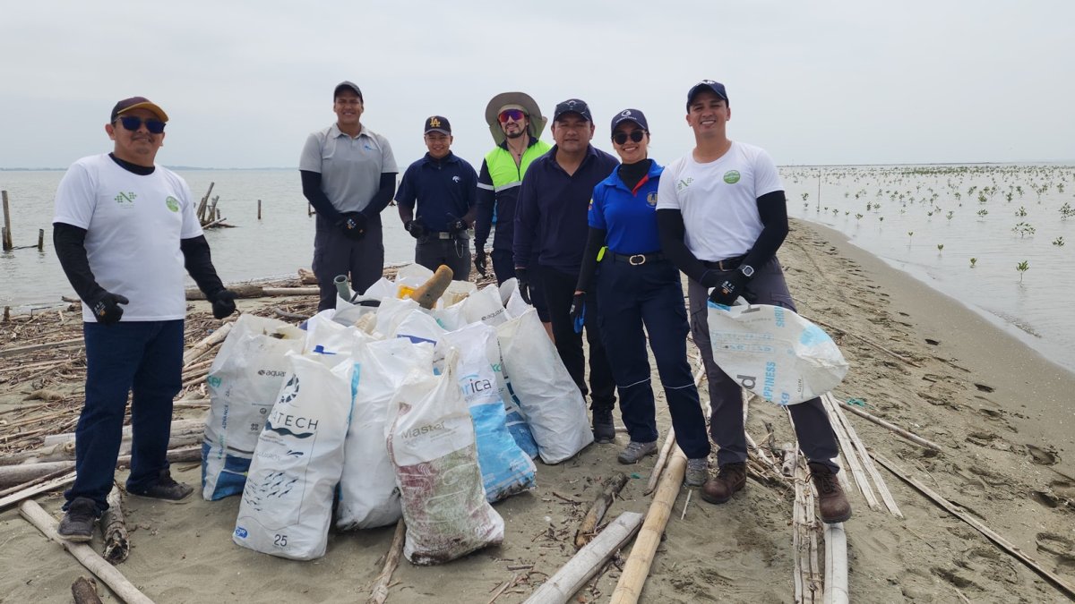 Voluntarios durante una jornada de limpieza de playas.