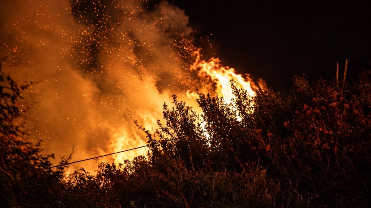 La emergencia registrada en La Vicentina generó una columna de humo visible desde varios sectores de Quito durante la jornada.