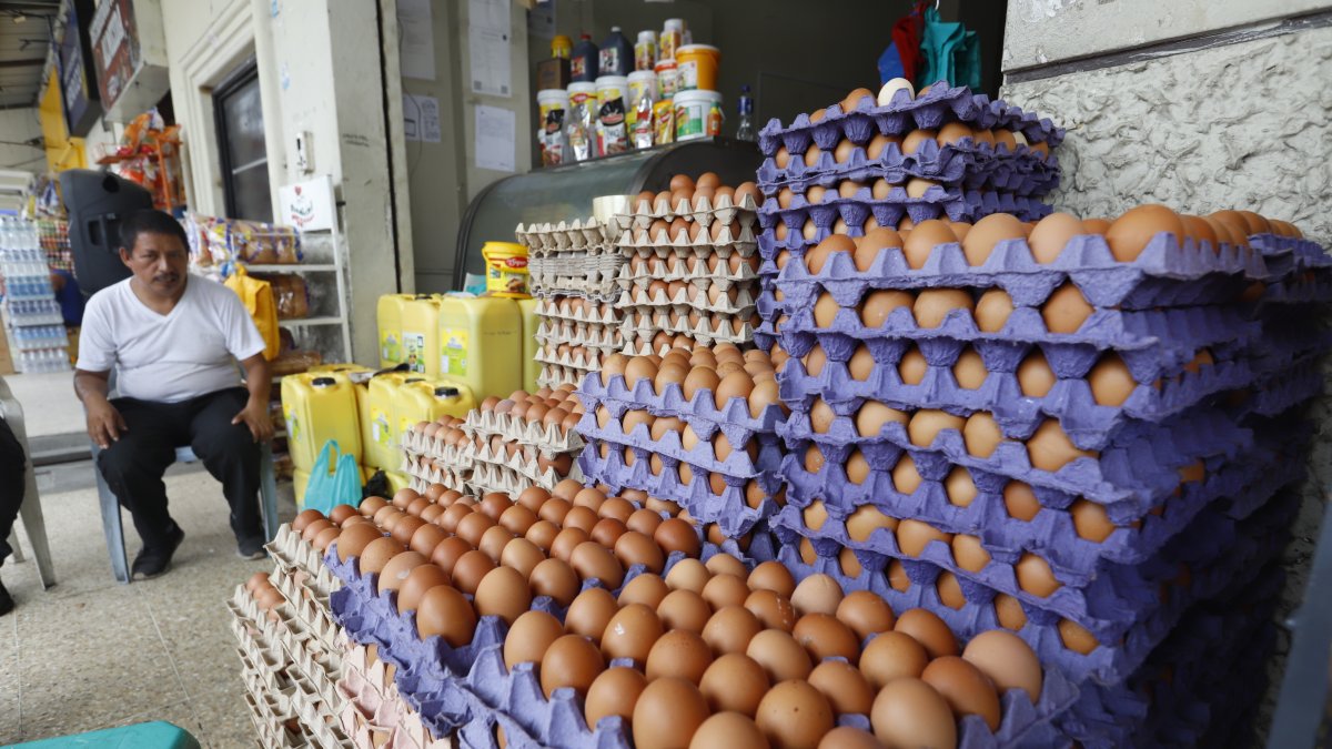Los precios de los huevos siguen caros desde julio de 2026.