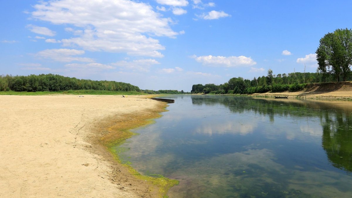 Bajo nivel del río Danubio a su paso por la localidad de Roseti, en Rumanía, en una imagen de principios de agosto.