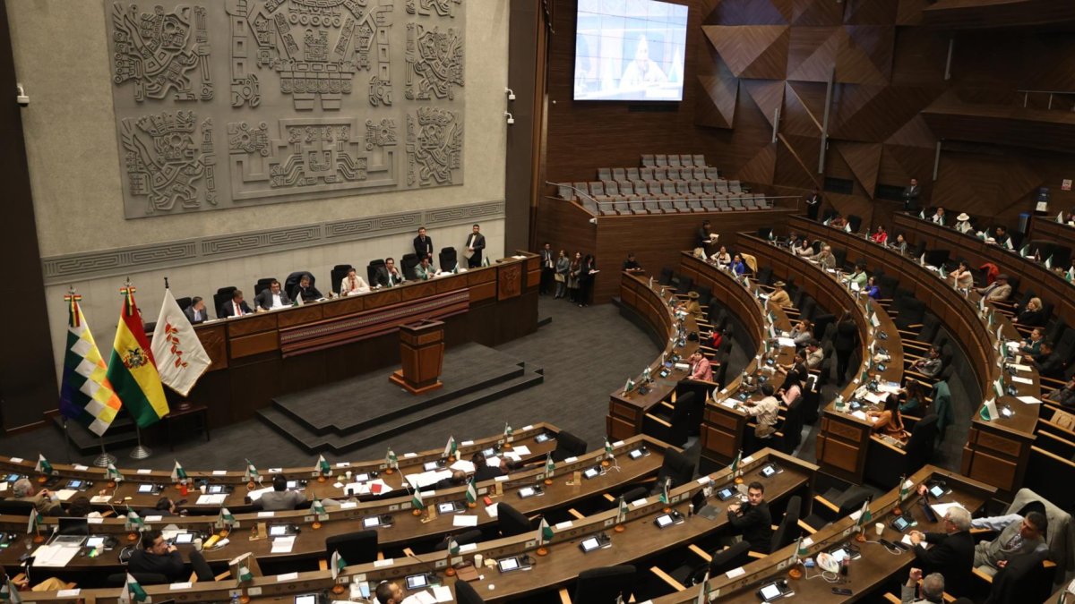 Senadores participan en una sesión este miércoles, en La Paz (Bolivia).