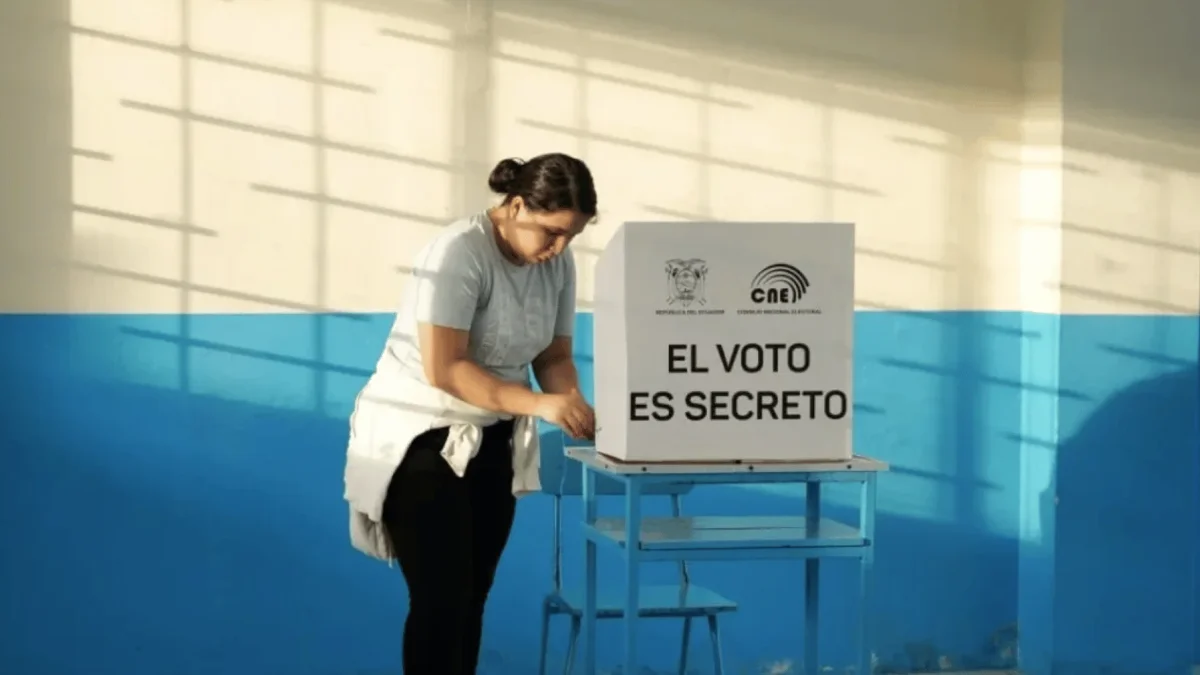 Los electores encontrarán ocho colores diferentes: café, gris, verde oscuro, celeste, verde claro, amarillo, rosa y naranja.