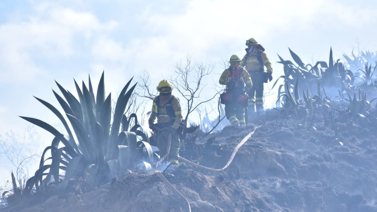 Bomberos Quito mantiene operaciones terrestres y aéreas en el cerro Casitagua para controlar el incendio forestal y evitar su propagación.