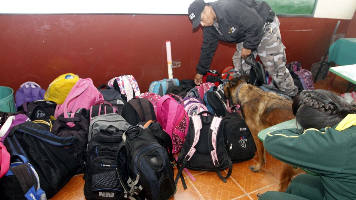 La disuasión debería reforzarse con visitas periódicas a planteles de canes entrenados para la detección de sustancias, o con revisión aleatoria de mochilas, bolsos y cartucheras de los alumnos.