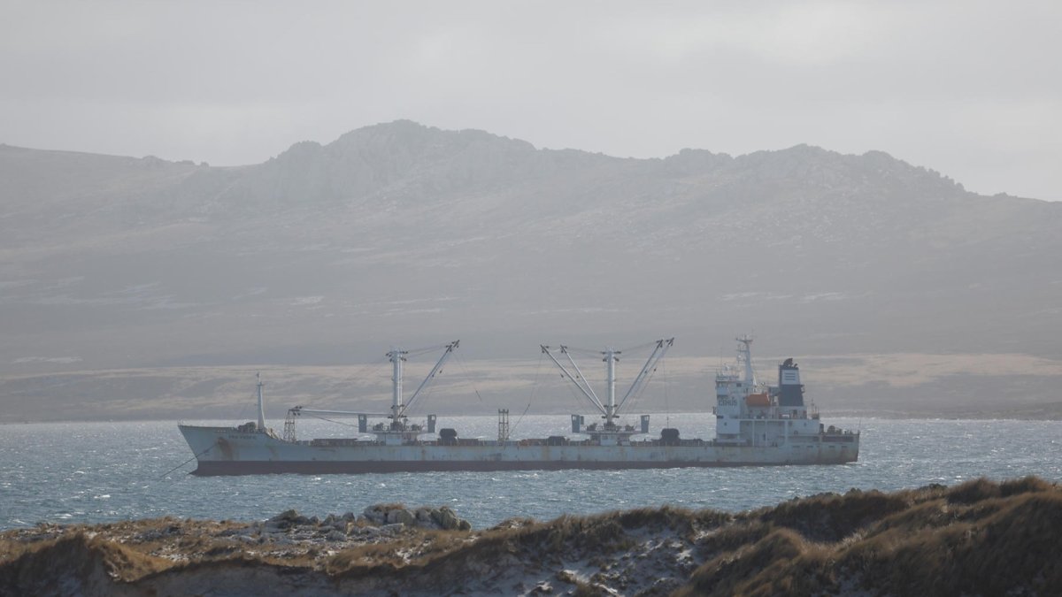 Fotografía que muestra un barco en la Bahía Yorke en las Islas Malvinas.