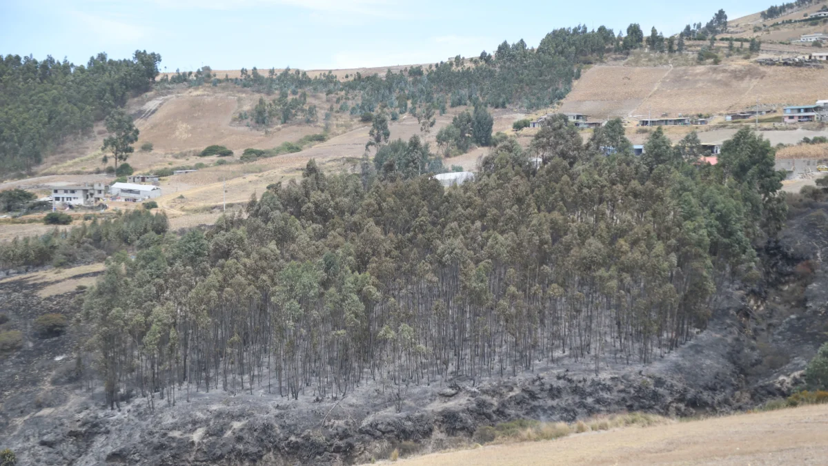 En una zona del cerro Casitagua el fuego ta fue controlado. En el sector norte las llamas siguen.