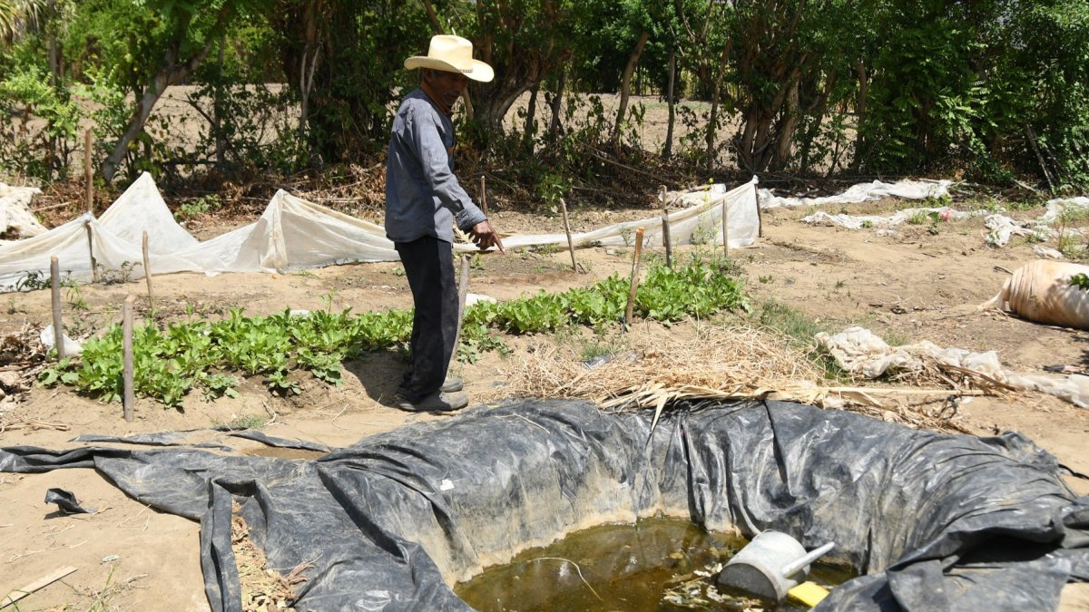 Jesús Rodríguez muestra un agujero artesanal donde almacenan la poca agua de lluvia que cae debido a la sequía en El Jícaro (Guatemala).