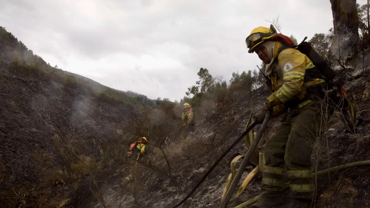 Las condiciones del terreno y los fuertes cambios en la dirección del viento complican el trabajo de los equipos de emergencia en el Casitagua.