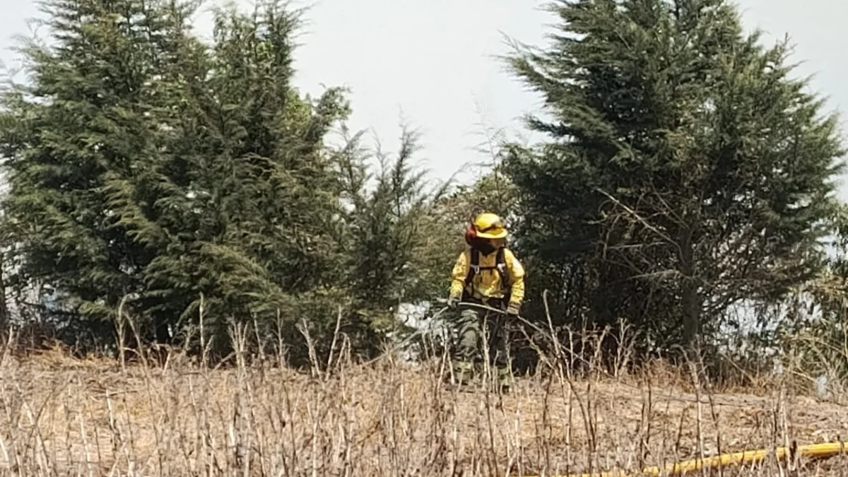 Imagen referencial. Fotografía de un incendio forestal en el sector de Catzuquí de Moncayo, en el norte de Quito.