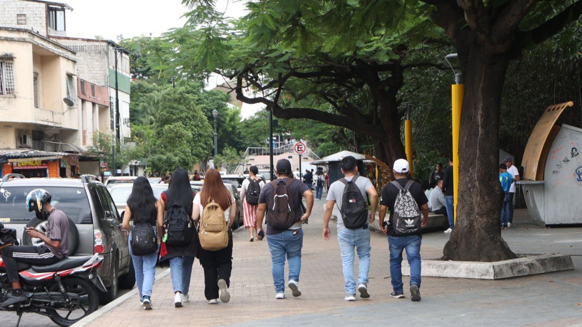 Estudiantes universitarios enfrentan el reto de fortalecer competencias que debieron consolidarse durante el bachillerato.
