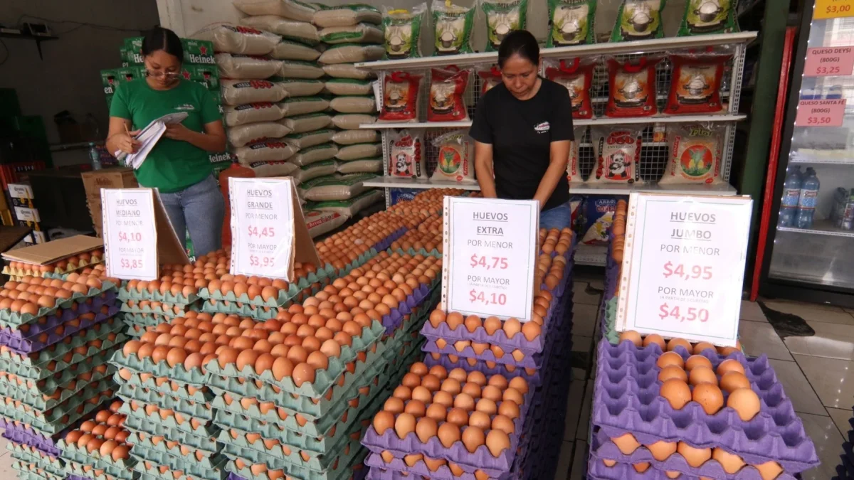 Los precios de huevos está determinado por el tamaño, la marca y las condiciones de crianza.