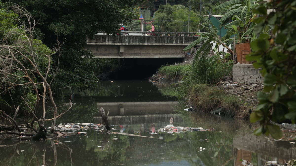 La recuperación del estero Salado requiere reducir las fuentes de contaminación y aplicar soluciones sostenidas para restaurar su ecosistema.