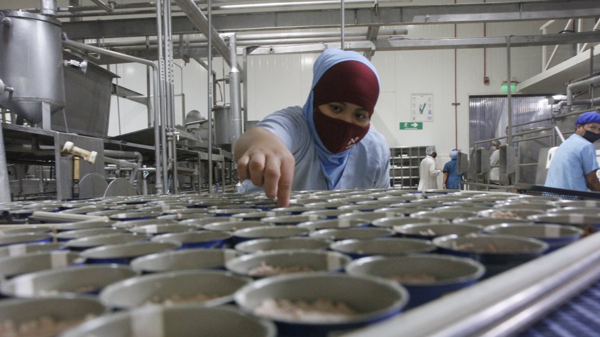 La industria del atún está afectada por la escasez del pescado, por el calentamiento del mar.