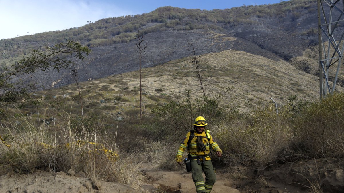 El cerro Casitagua permanece afectado por un incendio forestal que ha consumido cerca de 300 hectáreas de vegetación en Quito.