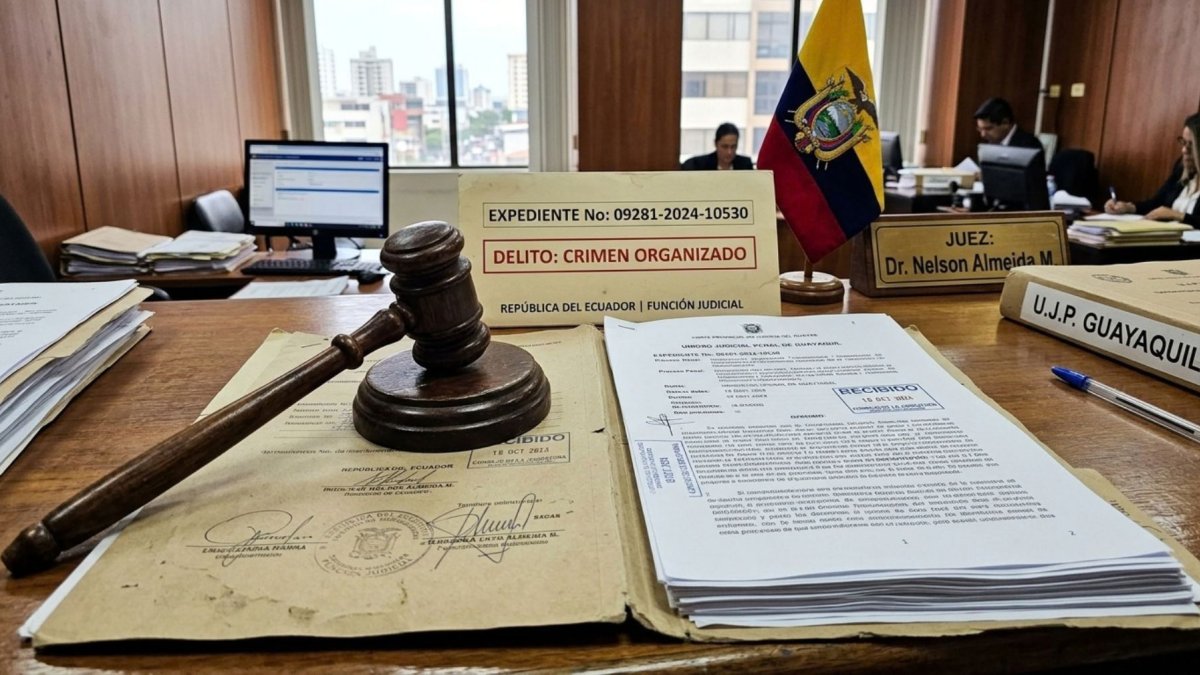 La justicia especializada es un mandato constitucional, creada precisamente para atender causas complejas, con operaciones financieras sofisticadas que demandan cooperación internacional.