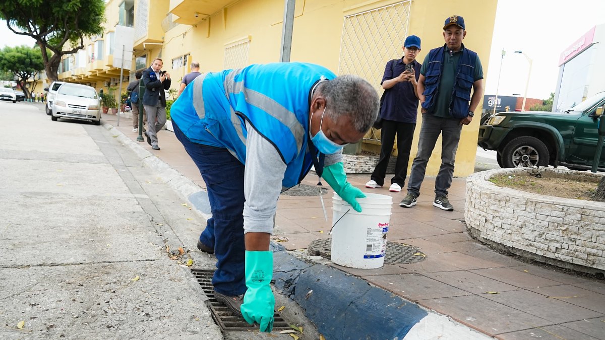 Labores de desratización en Urdesa Central