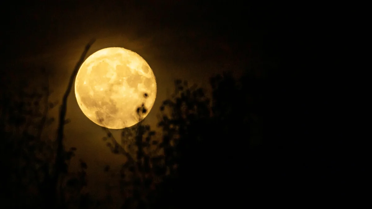 La Luna llena de septiembre tendrá lugar el sábado 26 y será conocida tradicionalmente como la Luna de la Cosecha o Luna del Maíz.