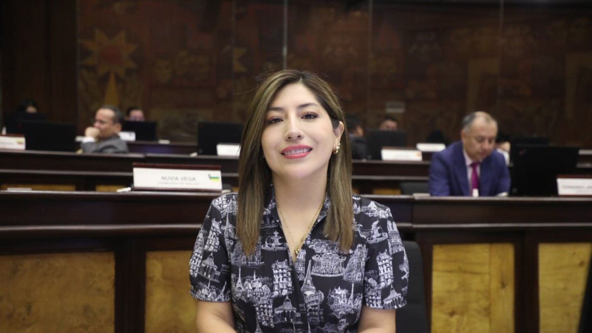 La asambleísta del oficialismo Inés Alarcón propuso un cambio en el orden del día pero no logró los votos necesarios.