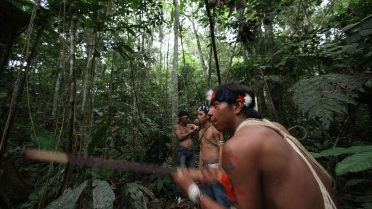 Las comunidades indígenas preservan bosques hace décadas sin mercados de carbono. Estos mercados podrían convertirse en herramienta para financiar esas iniciativas comunitarias.