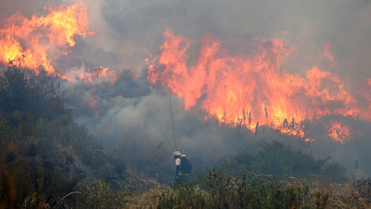 El incendio forestal en el cerro Casitagua es el que más afectaciones ha dejado hasta la fecha.