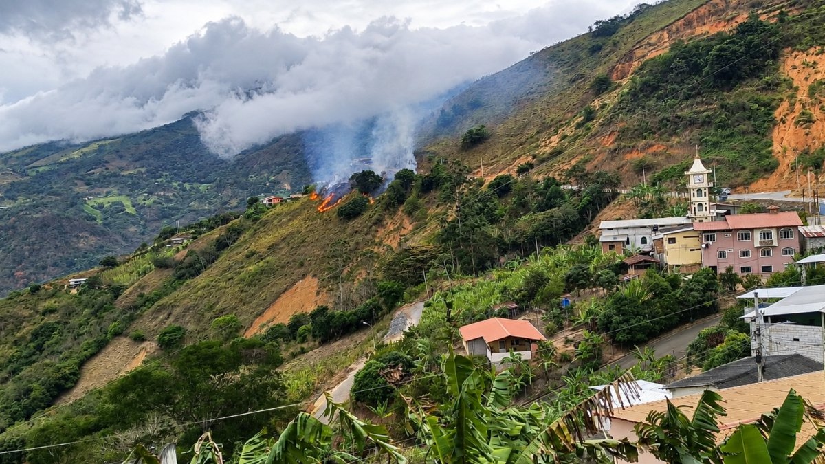 El incendio forestal en Guanazán, Zaruma, ha afectado unas 650 hectáreas de vegetación desde el pasado 10 de septiembre.
AG-EXTERNOS