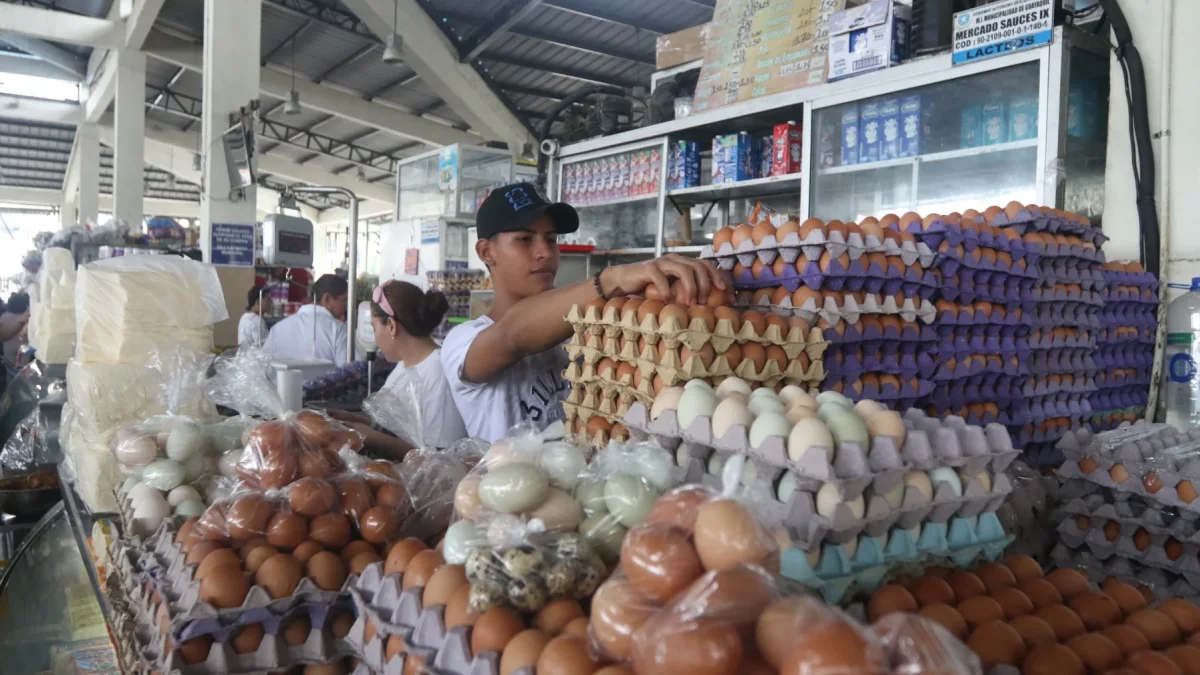 La cubeta que antes se comercializaba alrededor de 3,30 dólares ahora se vende entre 3,80 y 3,90 dólares.