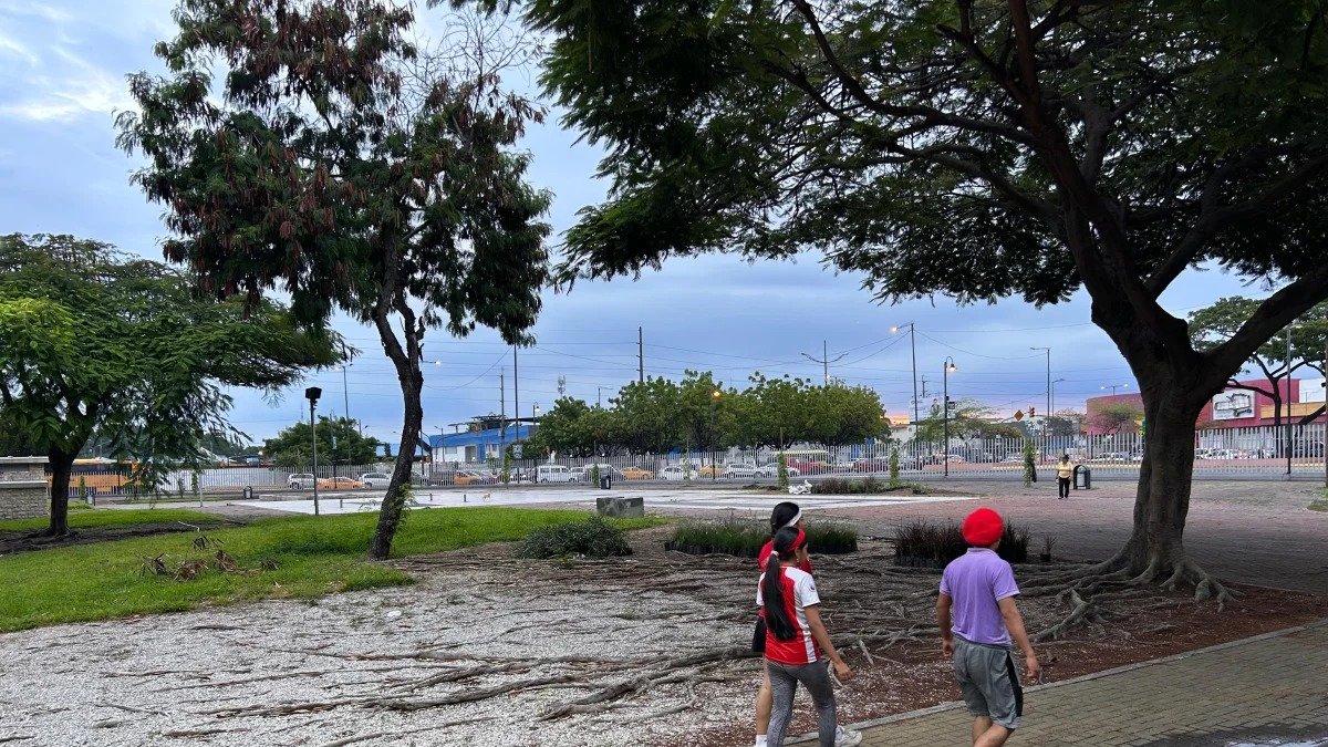El parque lineal de la calle Portete es utilizado por vecinos para caminar y pasear a sus mascotas, aunque algunos moradores cuestionan la seguridad y el estado del espacio.